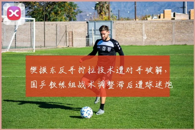 樊振东反手拧拉技术遭对手破解，国乒教练组战术调整滞后遭球迷炮轰